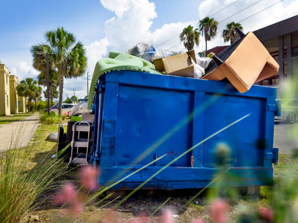 Debris Removal in Lynnwood, WA